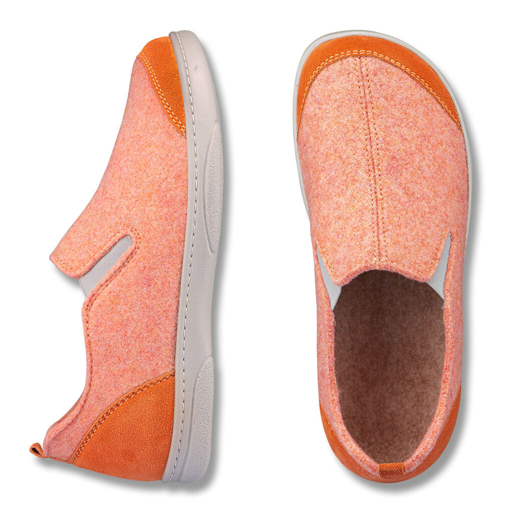 Baza Slika 2