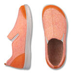 Baza Slika 2
